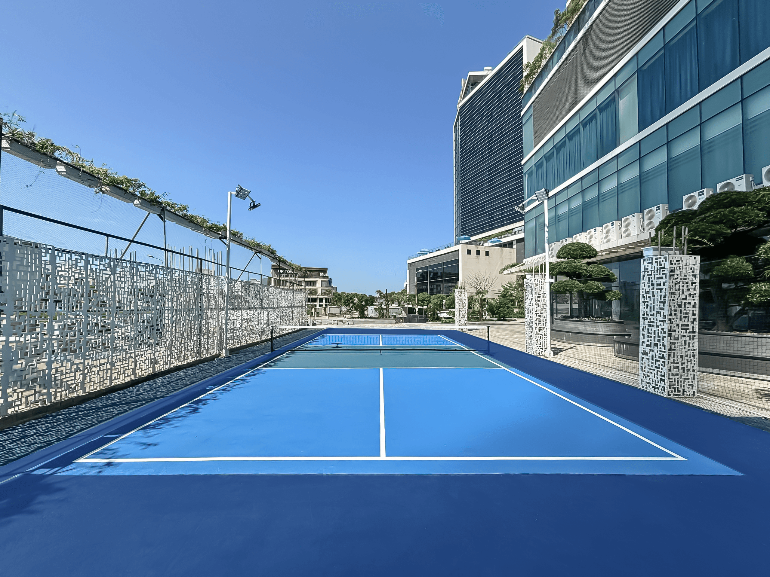Pickleball Court
